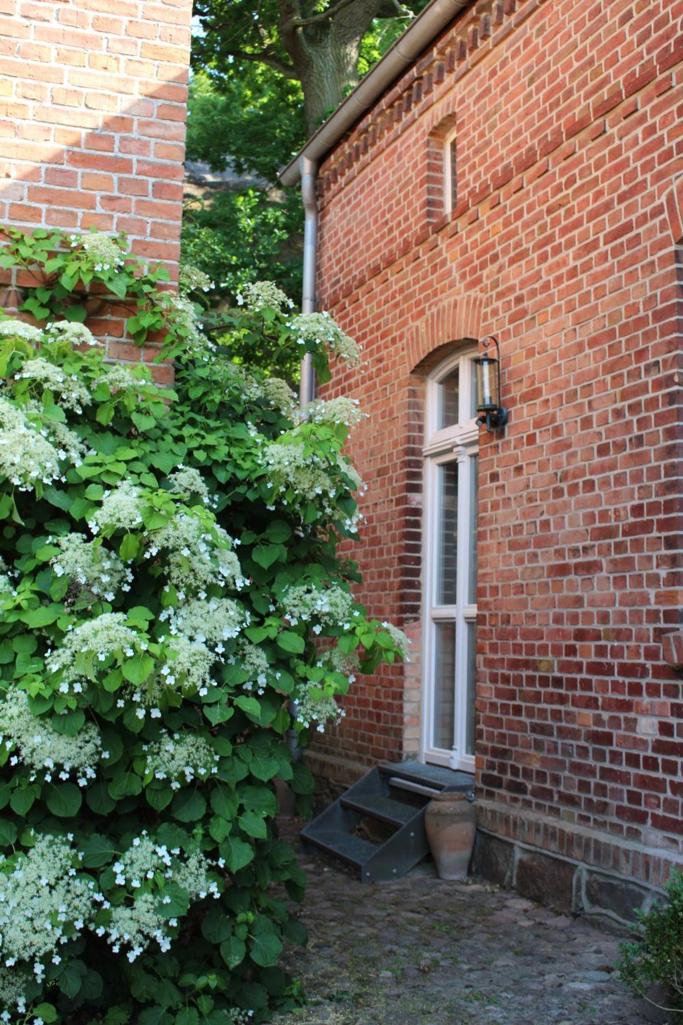 Ferienwohnung Buchholz Buchholz  Exterior photo